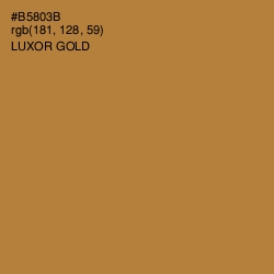 #B5803B - Luxor Gold Color Image
